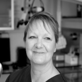 Sharon Lomax – Hygienist